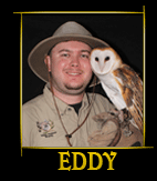 eddy