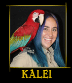 Kalei